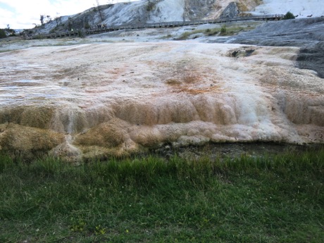 Mammoth Hot Springs formations